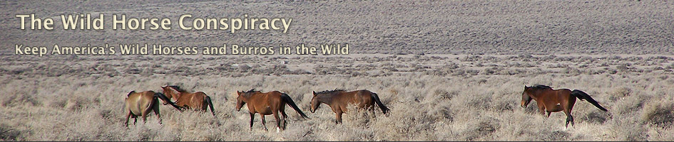 The Wild Horse Conspiracy